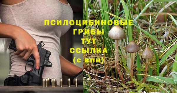 прущие крисы Бронницы