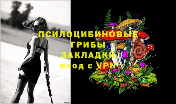 прущие крисы Бронницы