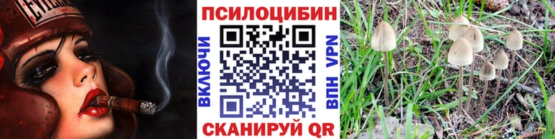 Псилоцибиновые грибы Magic Shrooms  shop какой сайт  Тогучин  закладка 