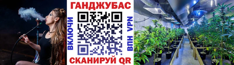 наркошоп  Тогучин  OMG рабочий сайт  Бошки Шишки планчик 